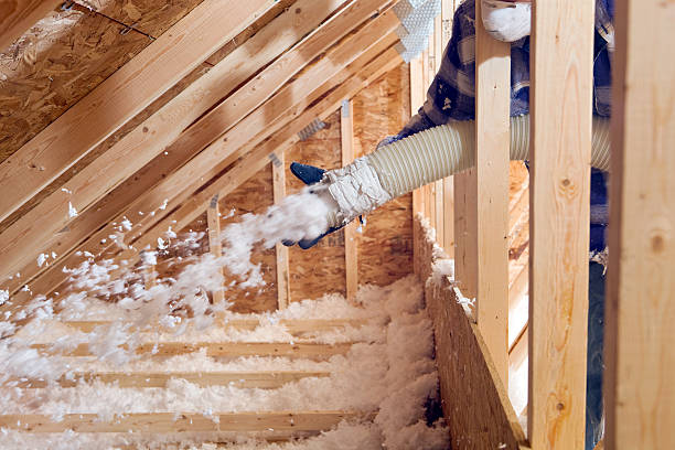 Best Soundproof Insulation  in Alum Rock, CA